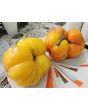 Tomato 'Yellow Flesh Red Interior" Seeds (Certified Organic)
