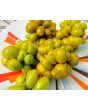 Tomato 'Green Reisetomate'