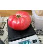 Tomato 'Russian Rose' Seeds (Certified Organic)