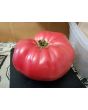 Tomato 'Russian Rose' Seeds (Certified Organic)