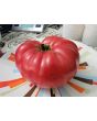 Tomato 'Russian Rose' Seeds (Certified Organic)