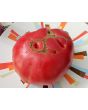 Tomato 'Russian Rose' Seeds (Certified Organic)