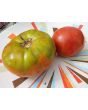 Tomato 'Buckbee's New 50 Day' Seeds (Certified Organic)