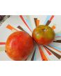 Tomato 'Buckbee's New 50 Day' Seeds (Certified Organic)