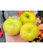 Tomato 'Mandarina Yellow' Seeds (Certified Organic)