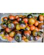 Tomato 'Indigo Blue Chocolate' Seeds (Certified Organic)