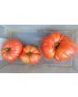 Tomato 'Tobolsk' (Pink Variant) Seeds (Certified Organic)