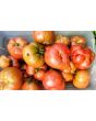 Tomato 'Purple Passion' Seeds (Certified Organic)