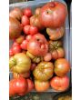 Tomato 'Purple Passion' Seeds (Certified Organic)