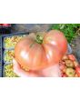 Tomato 'German Black' Seeds (Certified Organic)