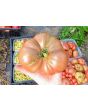 Tomato 'German Black' Plant 