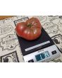 Tomato 'German Black' Seeds (Certified Organic)