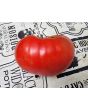 Tomato 'Sunset's Red Horizon' Seeds (Certified Organic)