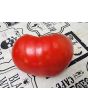 Tomato 'Sunset's Red Horizon' Seeds (Certified Organic)