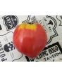 Tomato 'New Zealand Pink Paste' Seeds (Certified Organic)