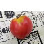 Tomato 'New Zealand Pink Paste' Seeds (Certified Organic)