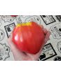 Tomato 'New Zealand Pink Paste' Seeds (Certified Organic)