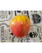 Tomato 'Gemini' Seeds (Certified Organic)