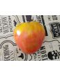 Tomato 'Gemini' Seeds (Certified Organic)