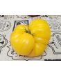 Tomato 'Yellow Flesh Red Interior" Seeds (Certified Organic)