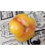 Tomato 'Yellow Flesh Red Interior" Seeds (Certified Organic)
