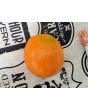 Tomato 'Apricot Zebra' Seeds (Certified Organic)