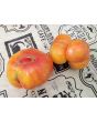 Tomato 'Yellow Flesh Red Interior" (Red Variant) Seeds (Certified Organic)