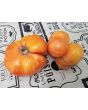 Tomato 'Yellow Flesh Red Interior" (Red Variant) Seeds (Certified Organic)