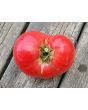 Tomato 'Anna Russian' Seeds (Certified Organic)