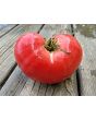 Tomato 'Anna Russian' Seeds (Certified Organic)