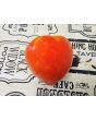 Tomato 'Buffalo Heart' Seeds (Certified Organic)