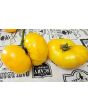 Tomato 'Dagma's Perfection' Seeds (Certified Organic)