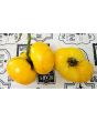 Tomato 'Dagma's Perfection' Seeds (Certified Organic)