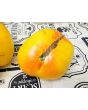 Tomato 'Dagma's Perfection' Seeds (Certified Organic)