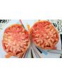 Tomato 'Mrs. Maxwell's Big Italian' Seeds (Certified Organic)
