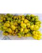 Tomato 'Green Reisetomate'