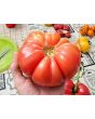 Tomato 'Yellow Flesh Red Interior" (Red Variant) Seeds (Certified Organic)