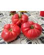 Tomato 'Russian Rose' Seeds (Certified Organic)
