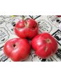 Tomato 'Russian Rose' Seeds (Certified Organic)