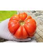 Tomato 'Yellow Flesh Red Interior" (Red Variant) Seeds (Certified Organic)