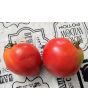 Tomato 'Anna Russian' Seeds (Certified Organic)