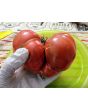 Tomato 'German Black' Seeds (Certified Organic)