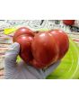 Tomato 'German Black' Seeds (Certified Organic)