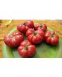 Tomato 'Mandarina Red' Seeds (Certified Organic)