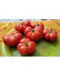 Tomato 'Mandarina Red' Seeds (Certified Organic)