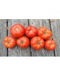 Tomato 'Cosmonaut Volkov' Seeds (Certified Organic)