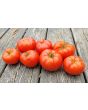 Tomato 'Cosmonaut Volkov' Seeds (Certified Organic)