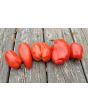 Tomato 'Federle' Seeds (Certified Organic)