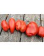 Tomato 'Federle' Seeds (Certified Organic)
