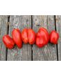Tomato 'Federle' Seeds (Certified Organic)